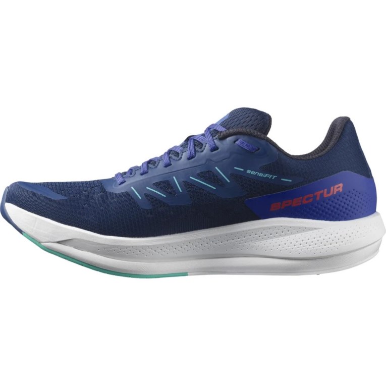 Blue Salomon Spectur Men's Running Shoes | IE TF1607